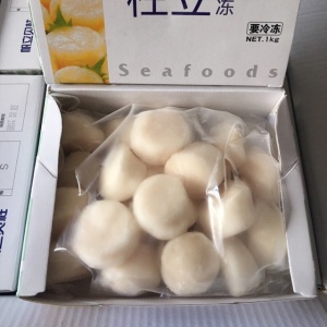 CỒI SÒ ĐIỆP NHẬT