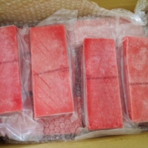 FILE CÁ NGỪ ĐÔNG LẠNH