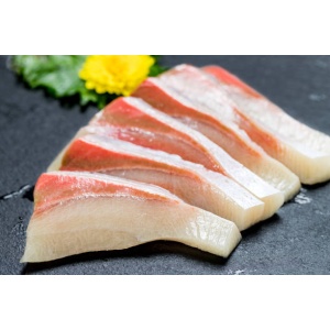 CÁ CAM  HAMACHI