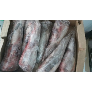 LƯỠI HOA BÒ MỸ - BEEF TONGUE-4