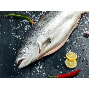 CÁ HỒI NA UY NGUYÊN CON