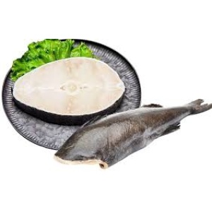 CÁ TUYẾT NAUY