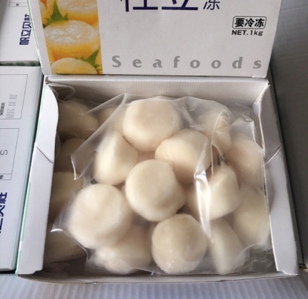 CỒI SÒ ĐIỆP NHẬT