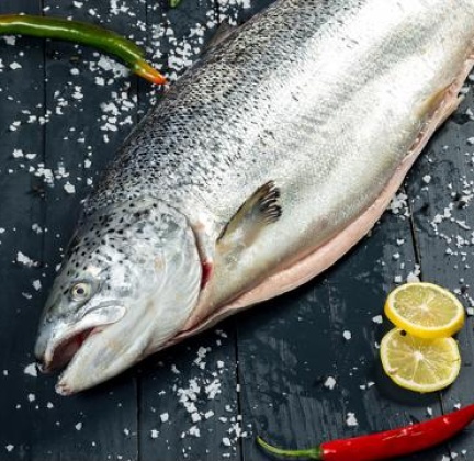 CÁ HỒI NA UY NGUYÊN CON